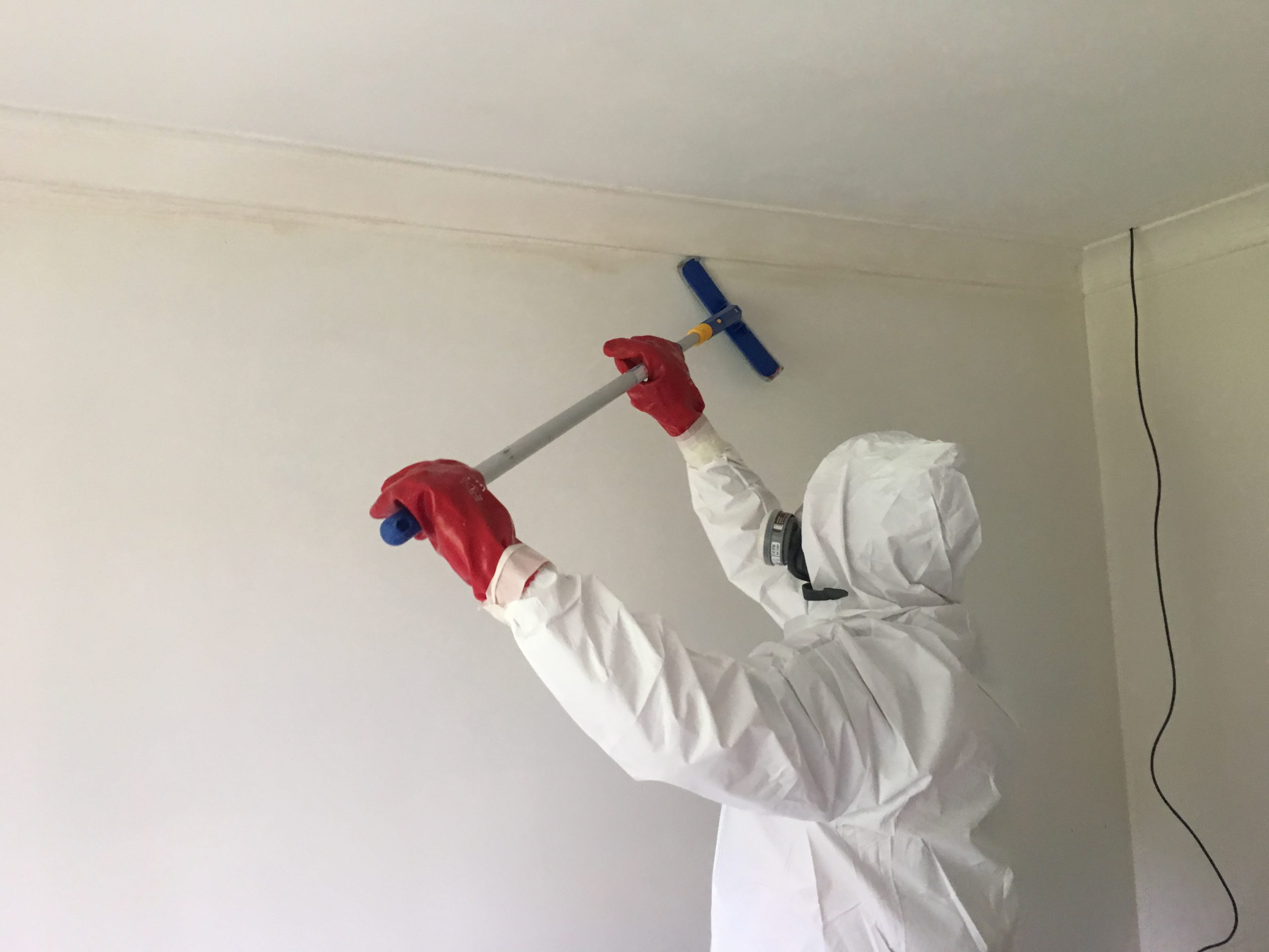 best mould removal in Sunshine Coast